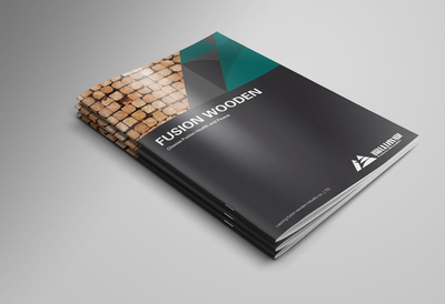 深圳企業(yè)畫(huà)冊(cè)設(shè)計(jì)的成功之道 時(shí)間與形象策劃并重